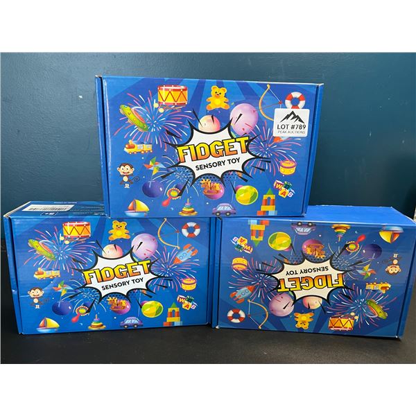 Lot of 3 Fidget Toy Sets - Various Fidget/Sensory Toys