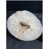 Image 2 : Beautiful Large Natural Quartz CrystalGeode and Natural Agate Cut Base Cut From Crystal