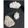 Image 2 : Gorgeous Assortment of Various Crystal Formulations