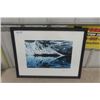 Image 1 : Paul Browne Nature Images Signed + Numbered Framed 