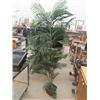 Image 1 : Artificial Plant 80" Tall 