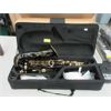 Image 1 : New Amnoon Alto Saxophone with Padded Case