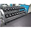 Image 2 : Large Set of Intek Exercise Dumb Bells with Rack
