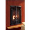 Image 1 : KOZY HEAT NATURAL GAS FIREPLACE (1S1121) 55616 TWO