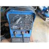 Image 2 : Miller Trailblazer 250G Welder