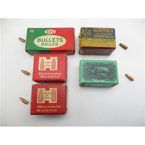 ASSORTED .22 CAL BULLETS LOT