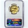Image 2 : 2009 $20 UHR A.G.E. NGC MS69 PL