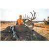 Image 1 : Kansas Rifle Whitetail Hunt for One with BuckVentures