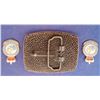 Image 2 : Aerospace Engineering ACE  Belt Buckle and Pins