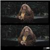 Image 3 : Prisoner of Azkaban (2004) Hagrid's Skipping Stone