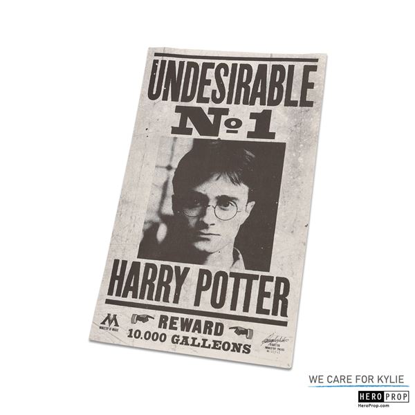 Harry Potter & The Deathly Hallows (2010) Undesirable #1