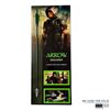 Image 1 : Arrow (2012) Screen Used Arrow & Display
