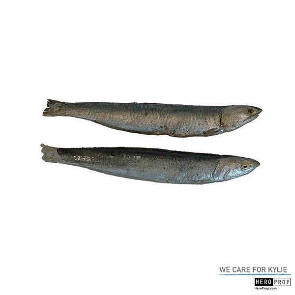The Little Mermaid (2023) Fish Set
