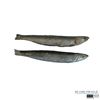 Image 1 : The Little Mermaid (2023) Fish Set