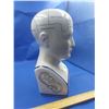Image 2 : VINTAGE PHRENOLOGY BUST