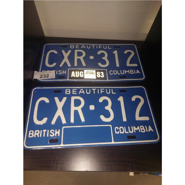 VINTAGE PAIR LICENSE PLATES