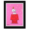 Image 1 : Snoopy & Woodstock on Red House By Mr. Andre