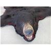 Image 2 : Double Matted Black Bear Rug- 70" Nose To Tail- 67" Across Front Legs