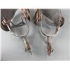 Image 5 : Marked Circle C Inlaid Spurs- 1.5" Bands- 2.5" Drop Shanks- 12 Point Rowels With Covers- Barrel Chap