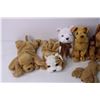 Image 2 : (6) Assorted Dog Beanie Babies