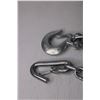 Image 2 : 3' Galvinized Chain w/Snap Hooks