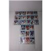 Image 2 : (81) Assorted hockey Cards in Binder Pages