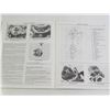 Image 3 : Harley-Davidson Sportster Workshop Manual - 1970 to 1993
