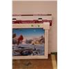 Image 3 : *Framed Snow Scenic Art