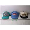 Image 1 : (3) Sports Ball Caps