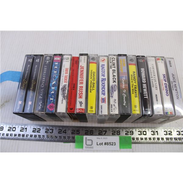 (14) Cassette tapes