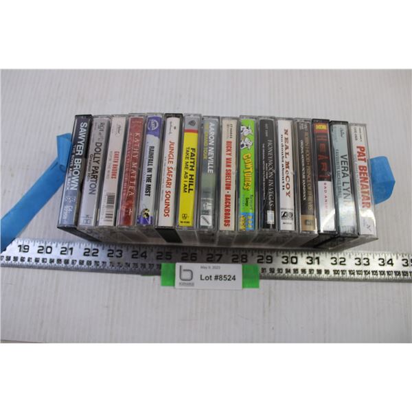 (14) Cassette tapes