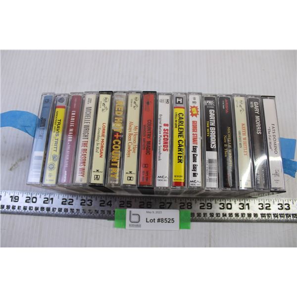 (14) Cassette tapes