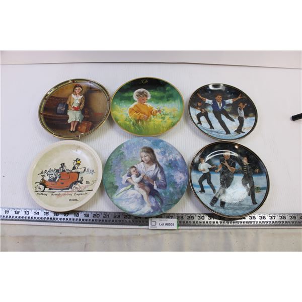 (6) Decorative plates