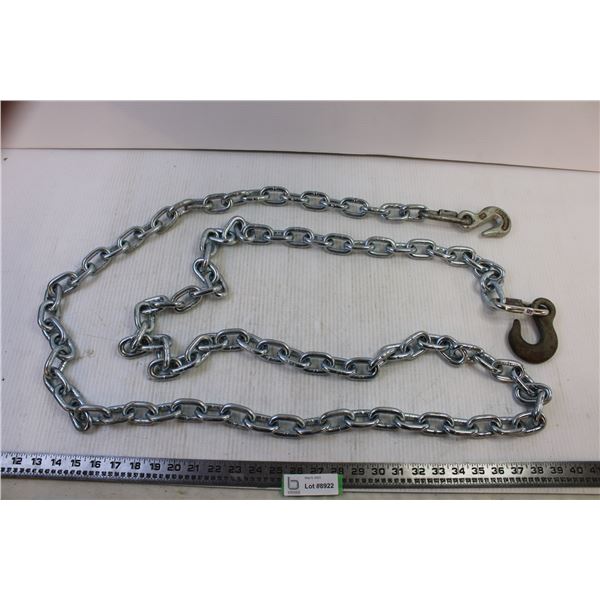 Metal chain with hooks