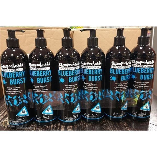 6 BOTTLES OF SHAMPOOHEADS BLUEBERRY BURST SHAMPOO