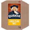 Image 1 : NEW CASE OF 12 QUAKER OATMEAL LARGE FLAKE STANDARD