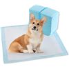 Image 1 : NEW BAG OF 40 LARGE SIZE PET/DOG TRAINING PADS