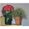 Image 1 : 2 SILK ACCENT PLANTS