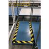 Image 2 : Lot of 2 platform trucks 48" x 24"