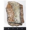 Image 2 : AMAZING DINOSAUR BONE -HAS GLASS LIKE FINISH AND