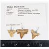 Image 1 : THREE OTODUS SHARK TEETH JEWELRY