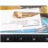 Image 2 : SPINOSAURUS TOOTH COMES IN INFO BLISTER PACK