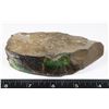 Image 2 : LARGE 4 1/4"X2" GEM QUALITY AMMOLITE,
