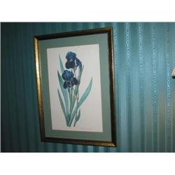 Purple iris print from the Metropolitian Museum matted in celadon green in a gilded wooden frame w/n