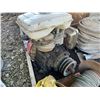 Image 2 : 7 HP HONDA G300 MOTOR. HAS COMPRESSION