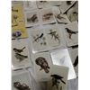 Image 7 : CDN Mosquito Trap & Lot of Vintage Collectable Cards