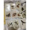 Image 8 : CDN Mosquito Trap & Lot of Vintage Collectable Cards