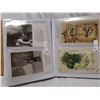 Image 3 : Antique postcard lot around 90 from early 1900's