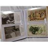 Image 5 : Antique postcard lot around 90 from early 1900's