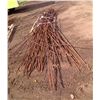 Image 2 : Approx 20' lengths of rebar on pallet